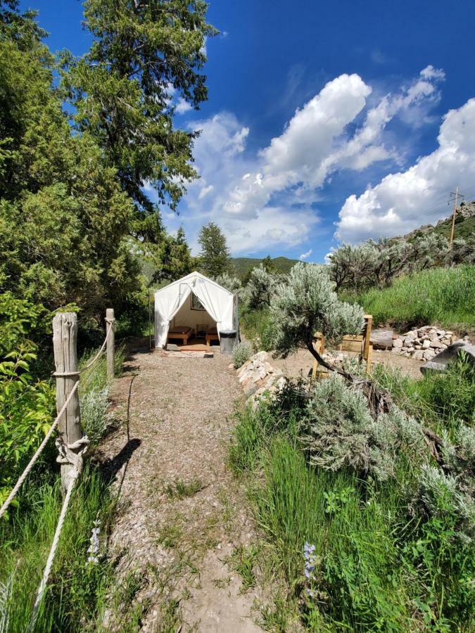 Bristol Cabins Lava Hot Springs Exteriör bild